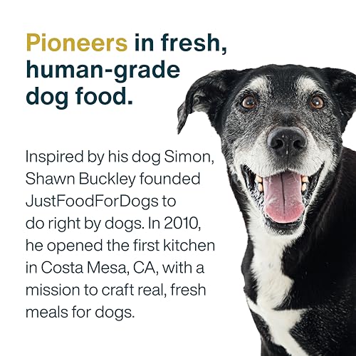 JustFoodForDogs pack de seis comidas de 12,5 onzas
