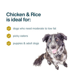 JustFoodForDogs porciones listas para servir en tazón
