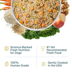 JustFoodForDogs textura cremosa atractiva que invita a comer