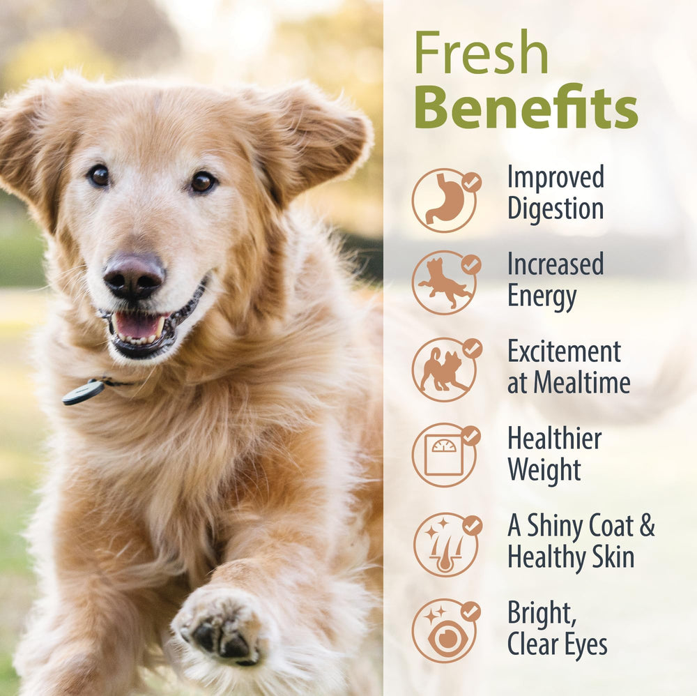 JustFoodForDogs Recetas DIY para perros: opciones para distintos tamaños y necesidades.