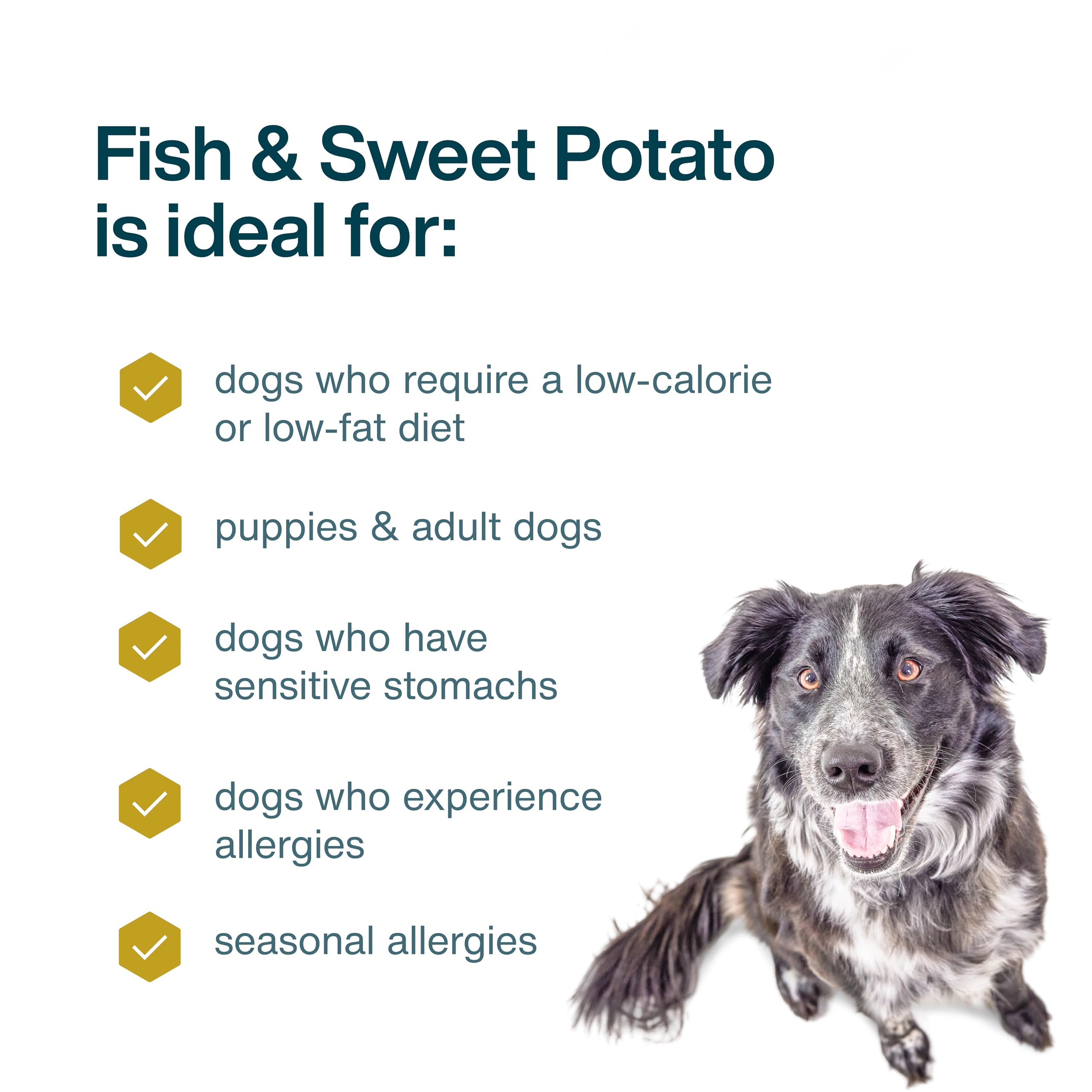 JustFoodForDogs-servir-en-plato: textura atractiva para perros.