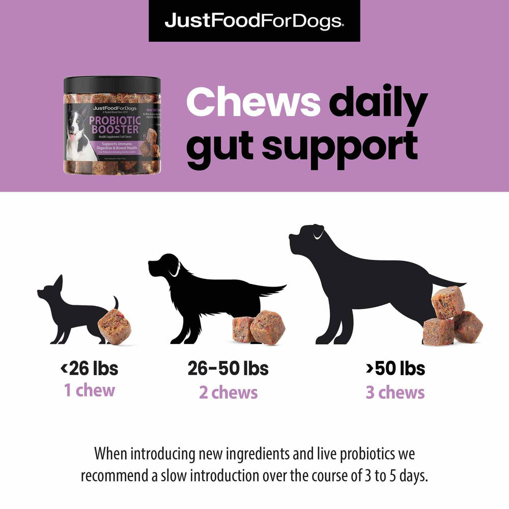 JustFoodForDogs superalimentos arandanos brócoli zanahorias nutrición diaria
