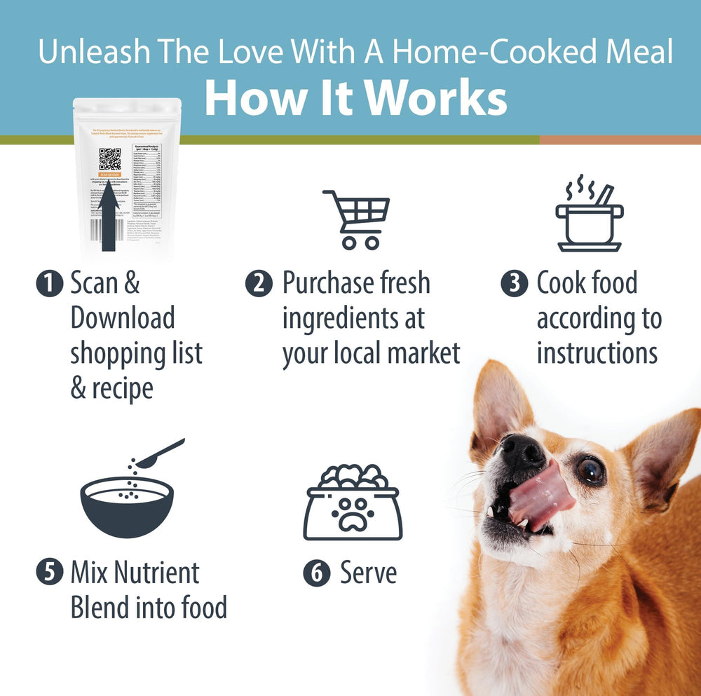 JustFoodForDogs Topper DIY: añade hidratación y sabor a la comida casera del perro.