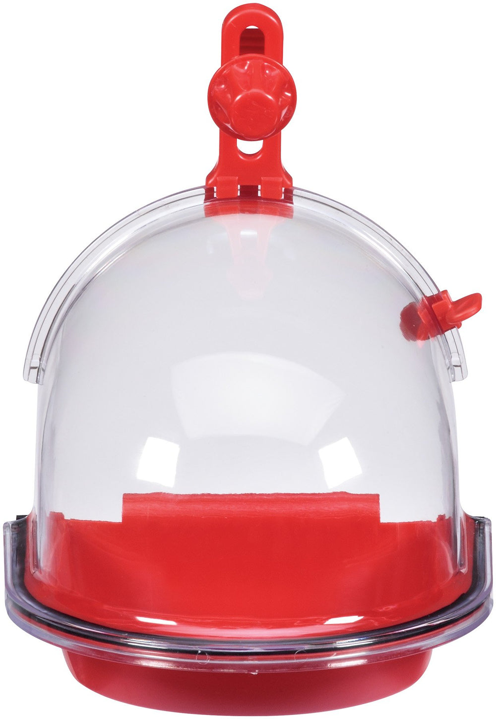 JW Insight Bird Bath: tapa transparente para observar el baño del ave