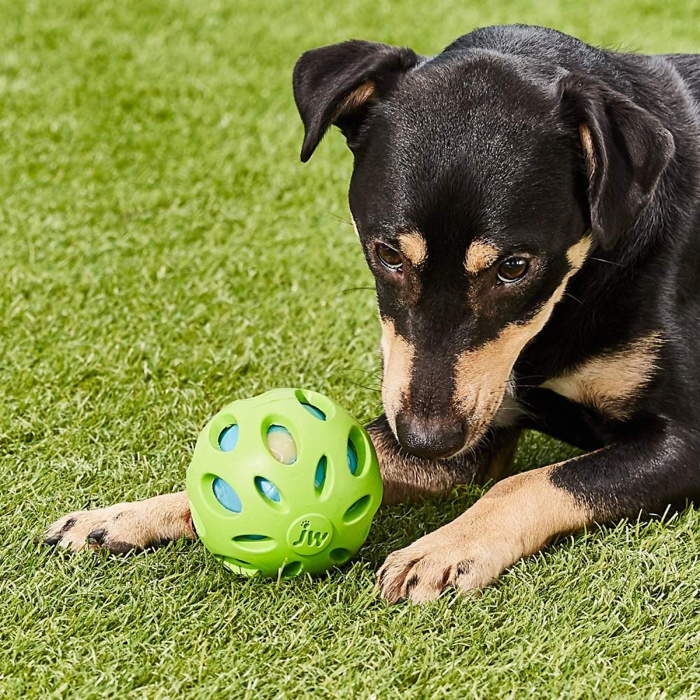 JW Pet Crackle Heads Crackle Ball Pequeño con agarre mejor para jugar a buscar.