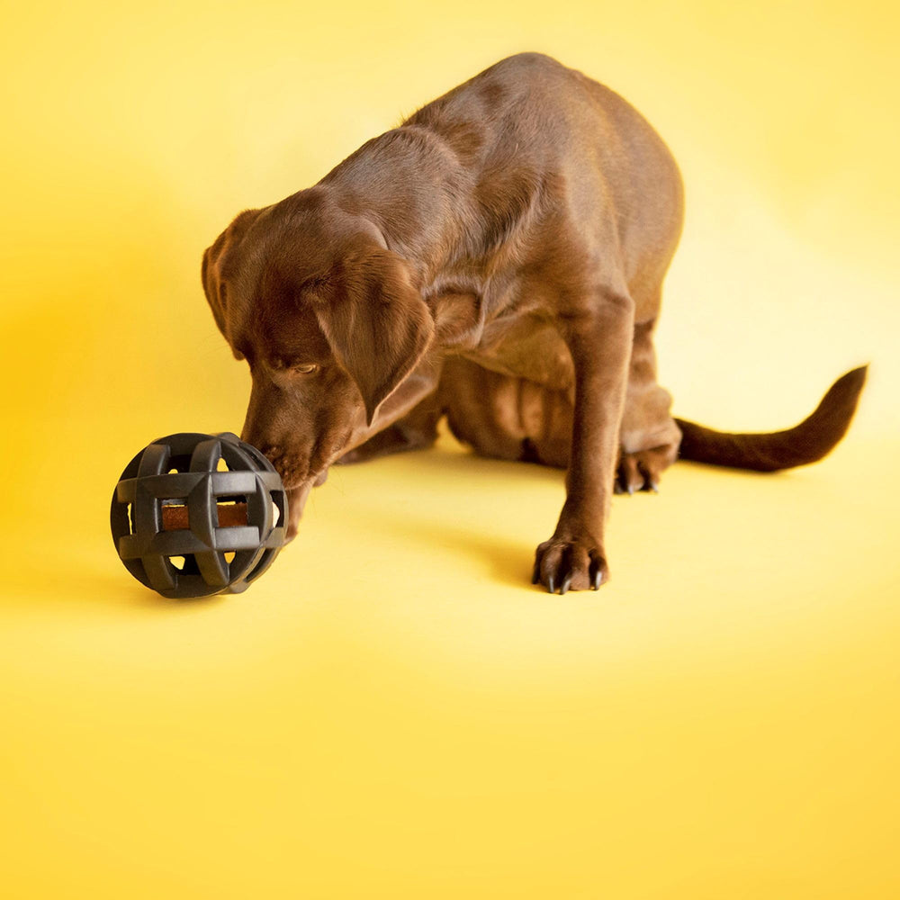 JW Hol-ee Roller Extremo tamaño mediano para perros de porte medio
