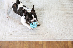 JW Pet Hol-ee Roller: usos interiores y exteriores para interacción, lanzamiento y búsqueda