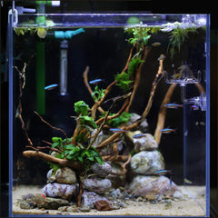Diseño magnolia de JZMYXA añade encanto, plato decorativo para alimentar peces.