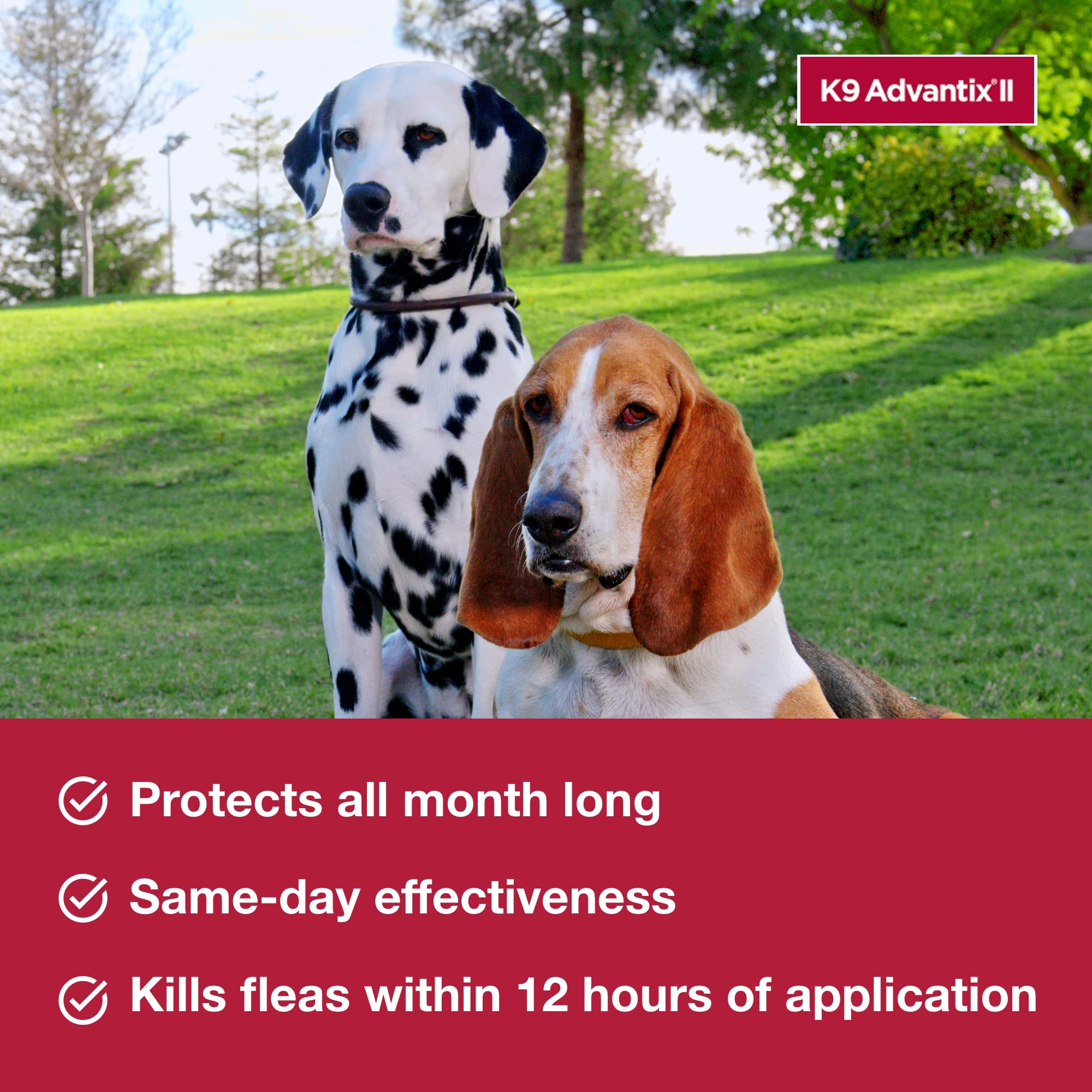 K9 Advantix II: resistente al agua 24 h