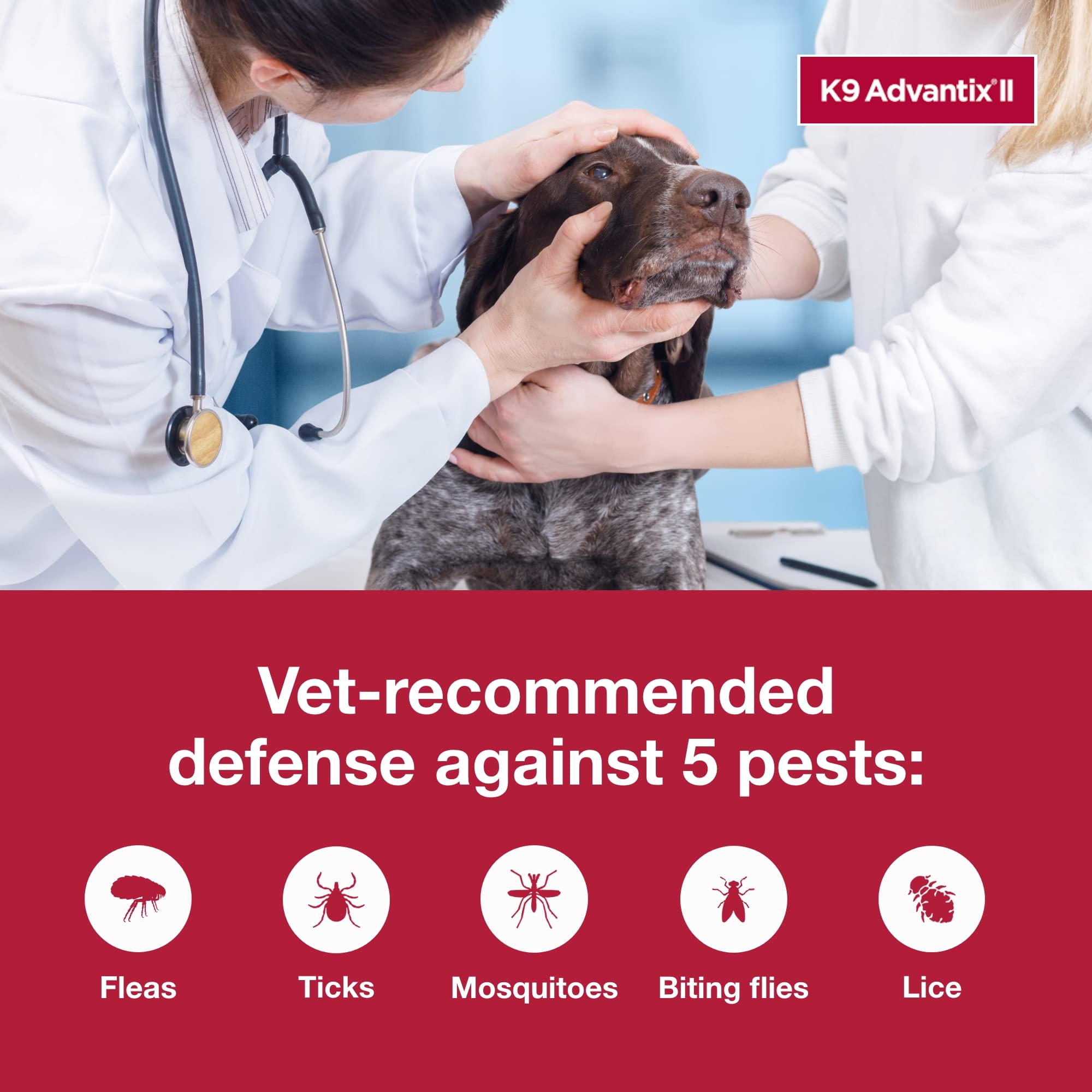 K9 Advantix II XL pack de 2 dosis para conveniencia