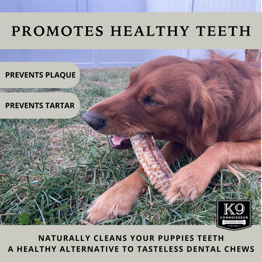 K9 Connoisseur tráquea sin conservantes, opción natural para premios.