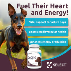 K9 Select CoQ10: cápsulas de 30 mg para perros, energía diaria.