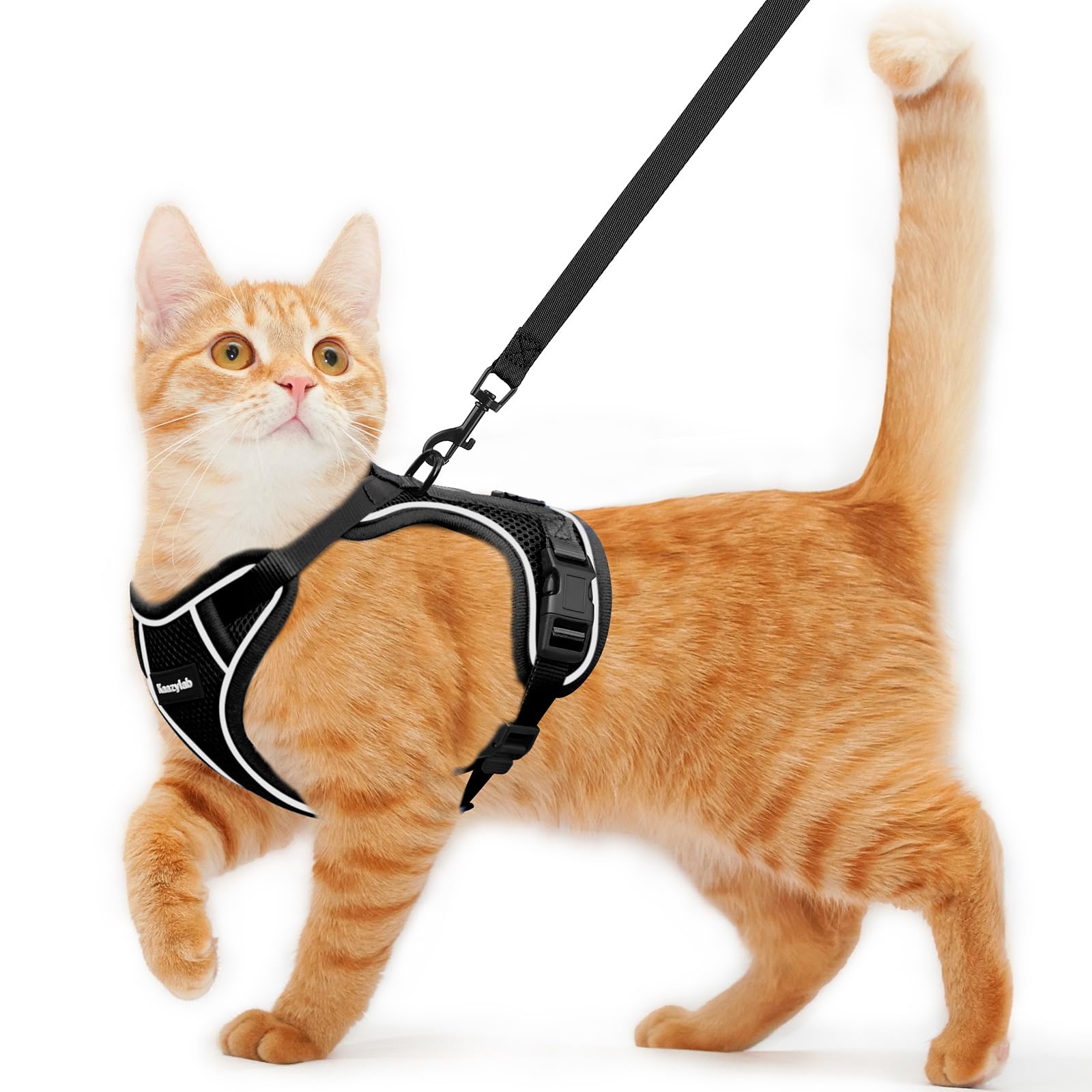 Arnés Kaazylab para gato a prueba de escape, ideal para paseos seguros