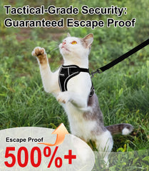 Arnés Kaazylab con doble capa de protección para gatos exploradores