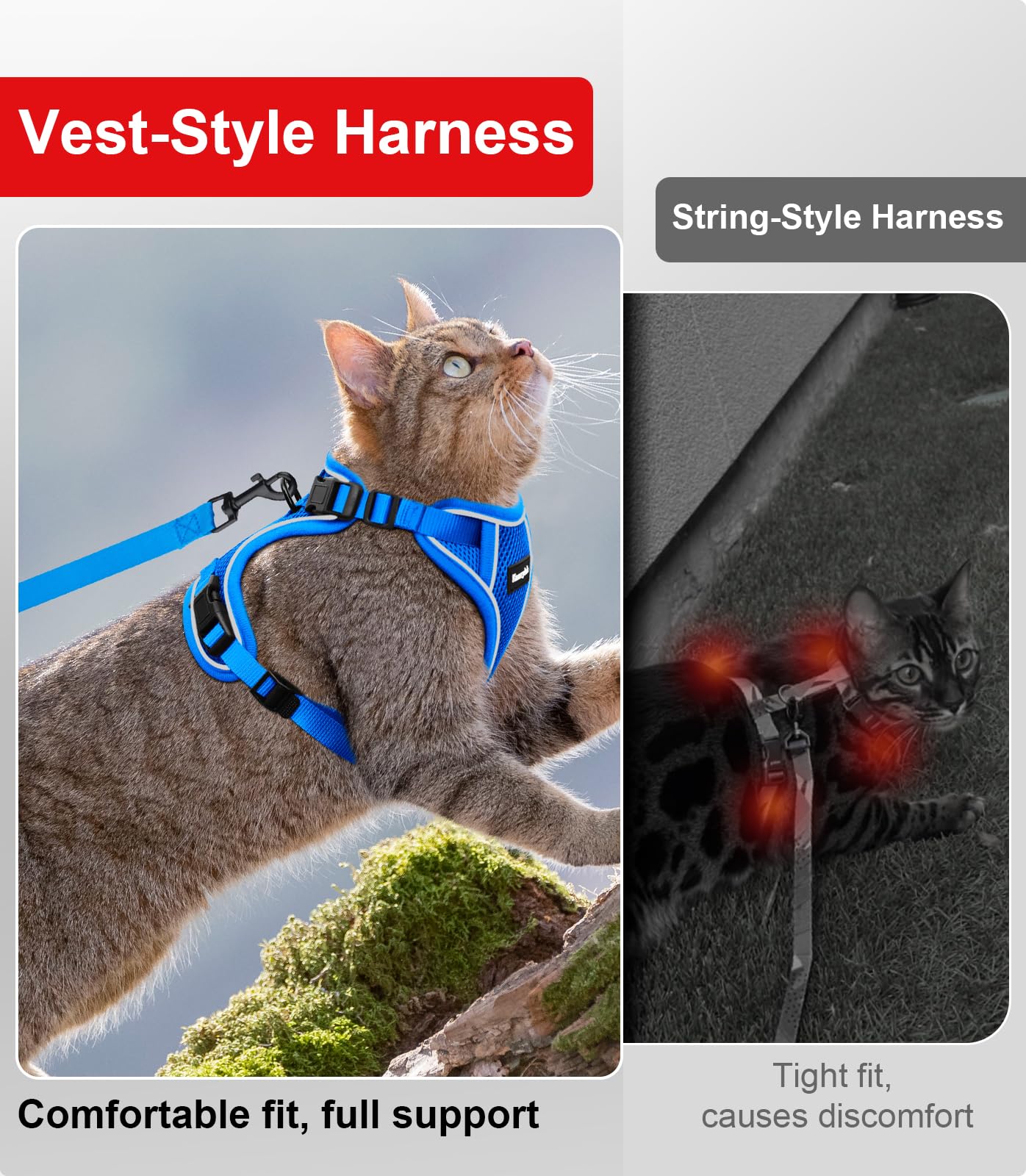 Kit de paseo Kaazylab para gatos, ideal para aventuras al aire libre.