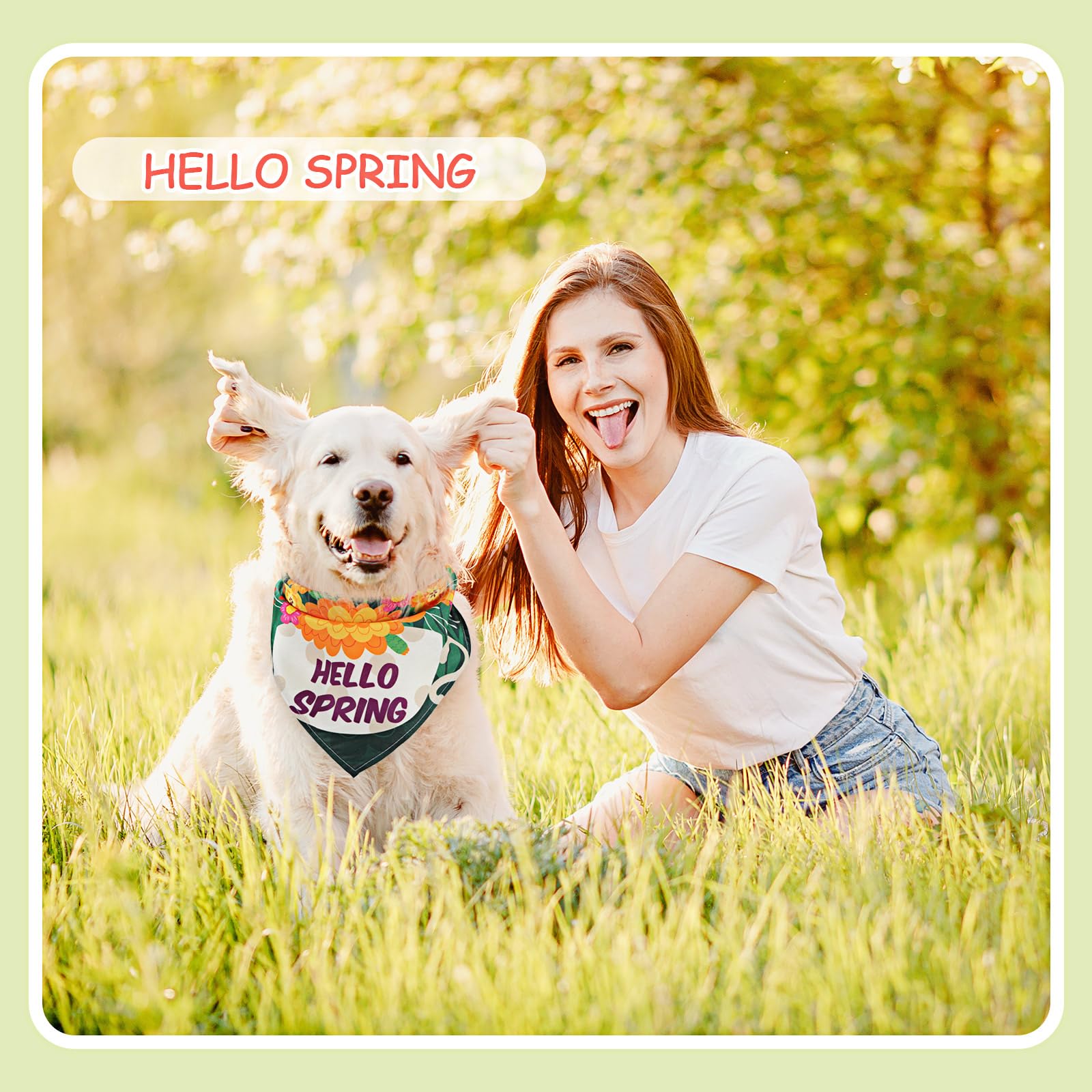 Kacctyen bandana para perro colores vivos, perfecto para viajes