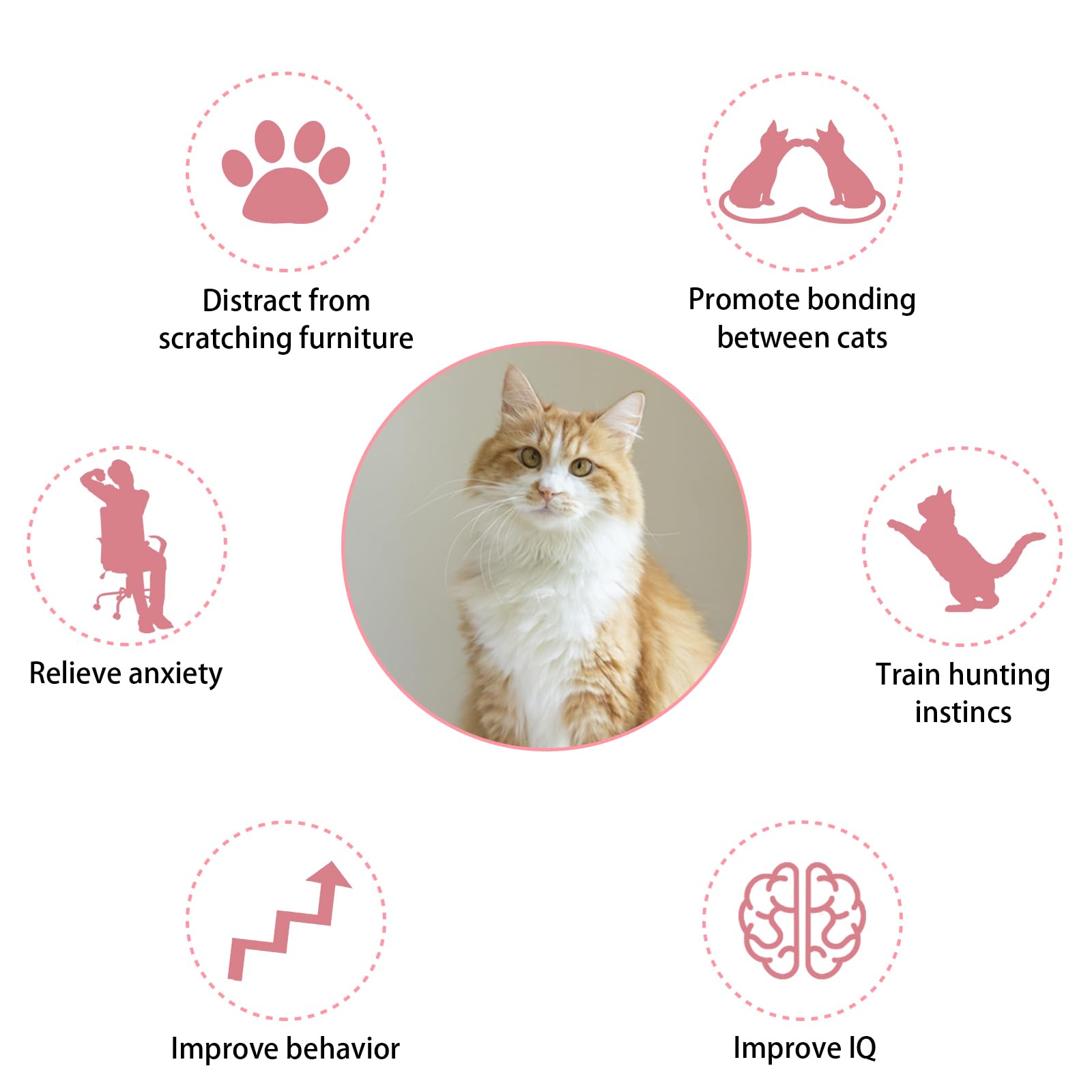 Kalamanda collar-ajustable: ajuste cómodo para gatos de todas las edades.