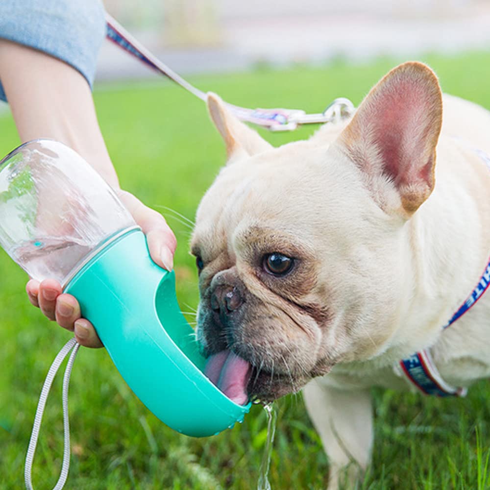 Kalimdor regalo práctico para dueños de mascotas activos al aire libre.