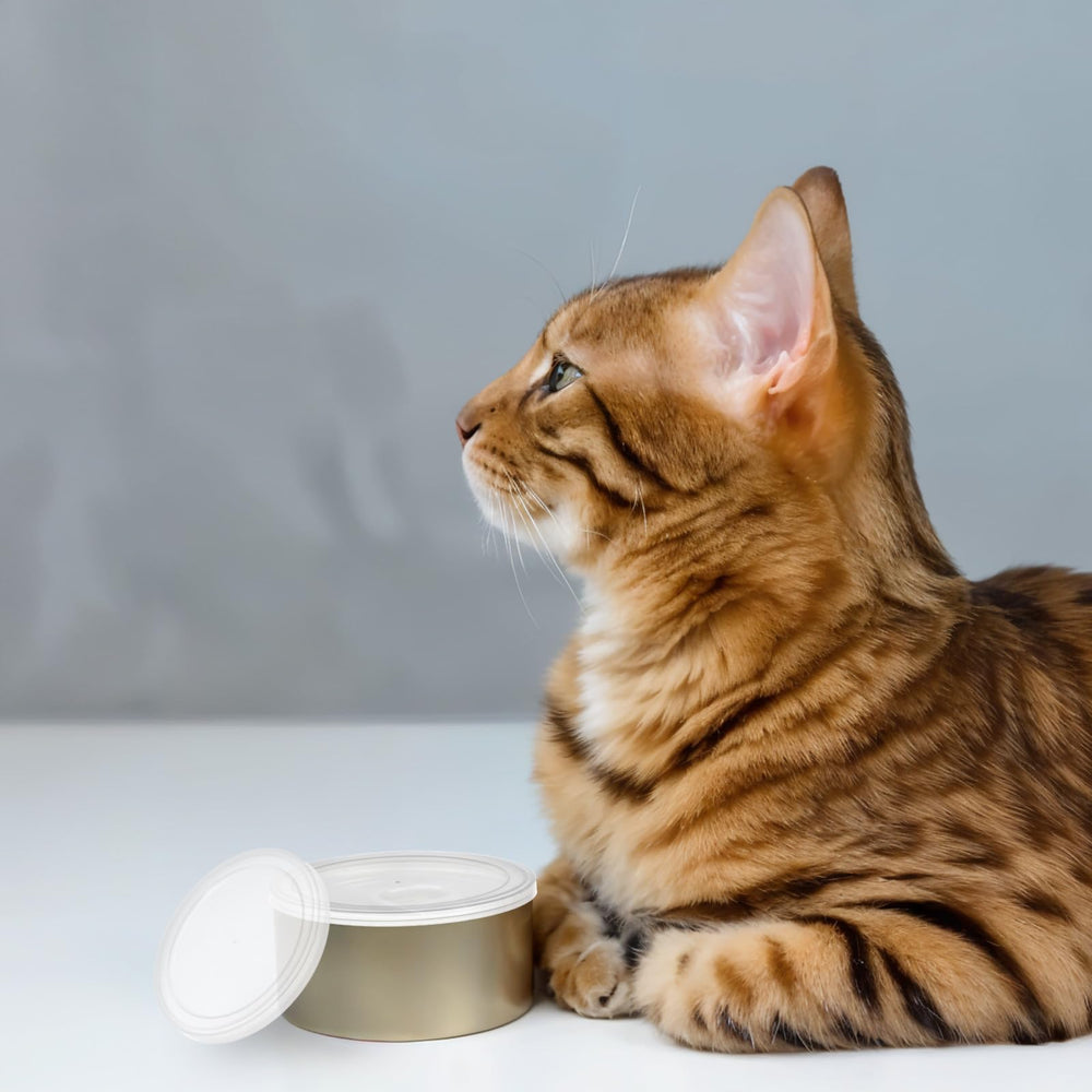 Kalione uso-diario-latas: solución reutilizable para guardar comida de mascotas.