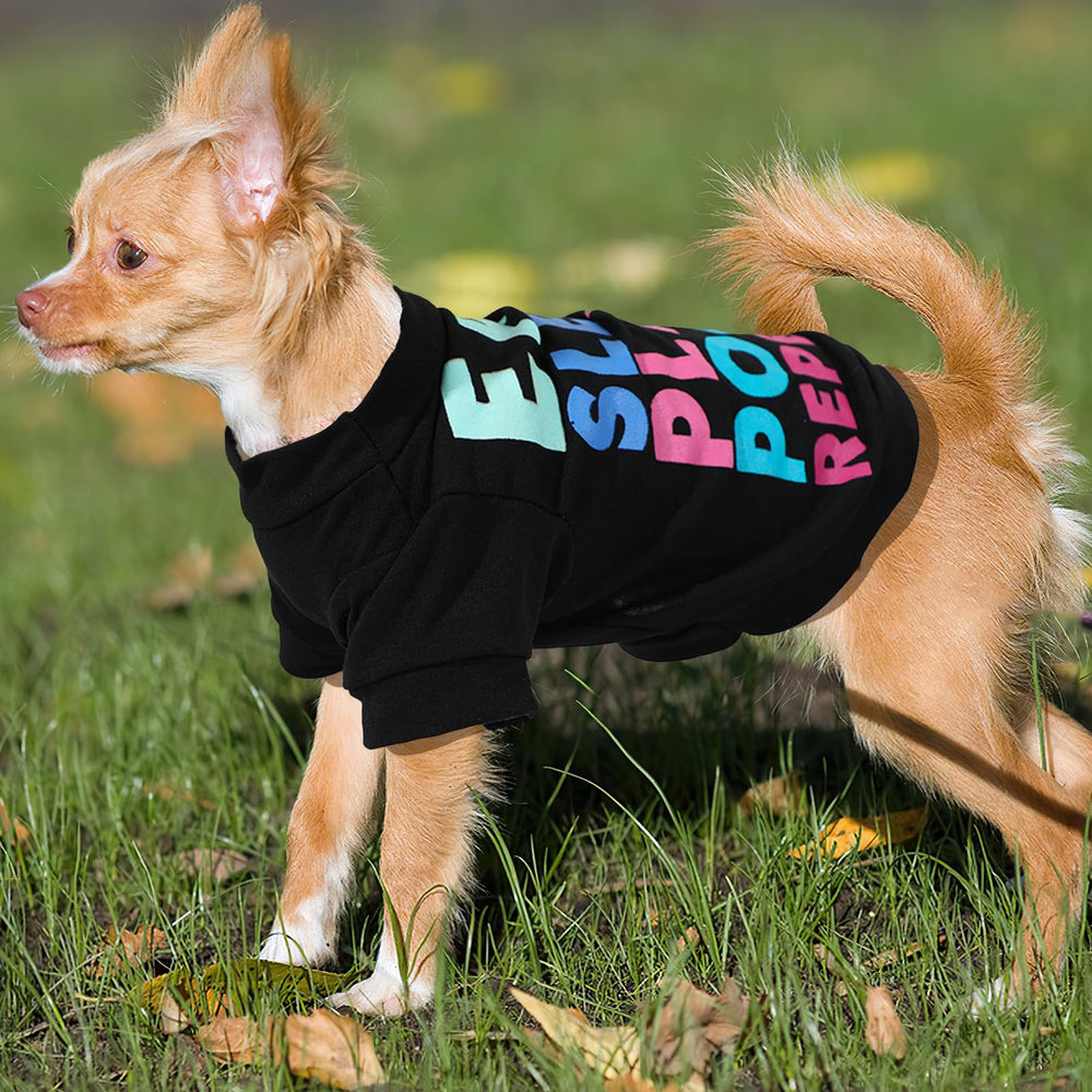 Kallfir's cutie, regalo perfecto para mascotas en fiestas y celebraciones.