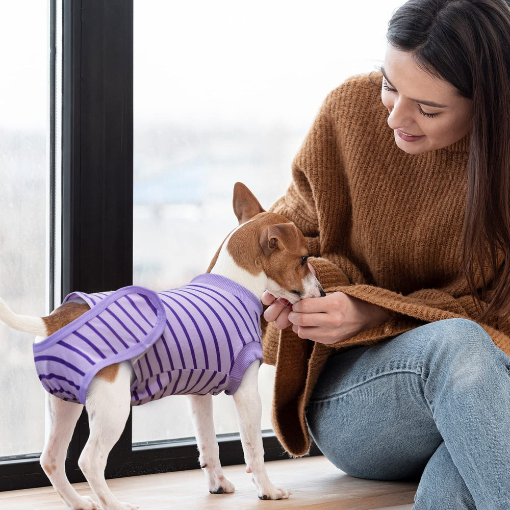 Traje de recuperación Karoku, enfoque en movilidad, ideal para perros activos tras cirugía.