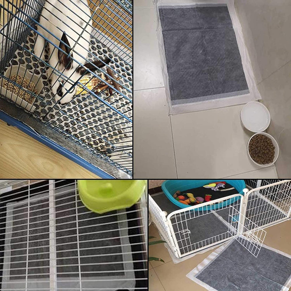 Kathson apto para chinchillas, conejos y hámsters facilita el entrenamiento.