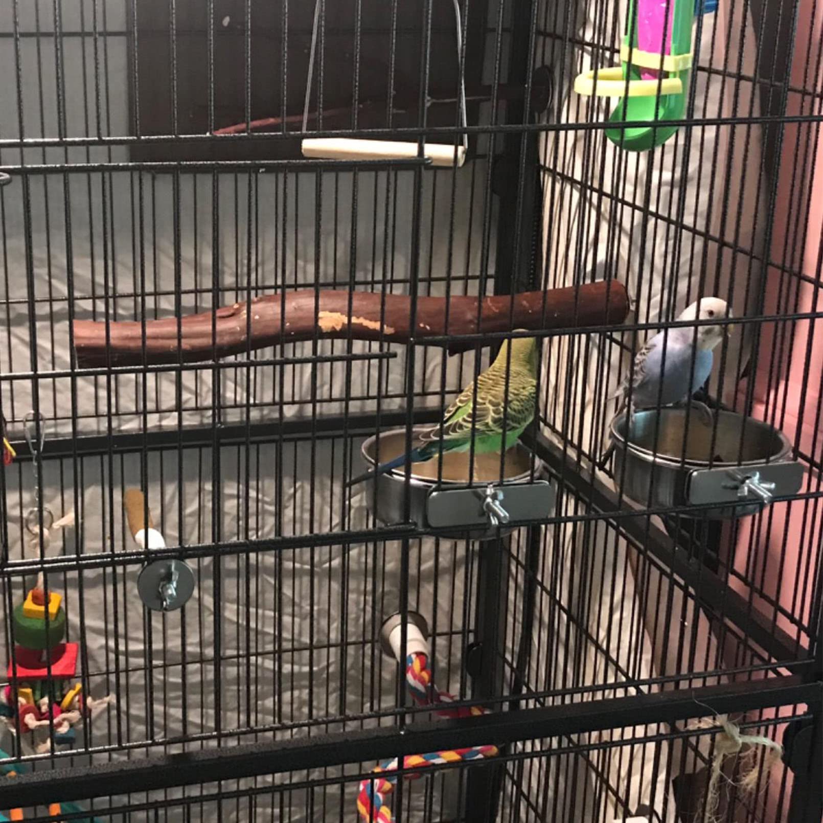 Kathson juego de accesorios para jaula, versátil para varias aves
