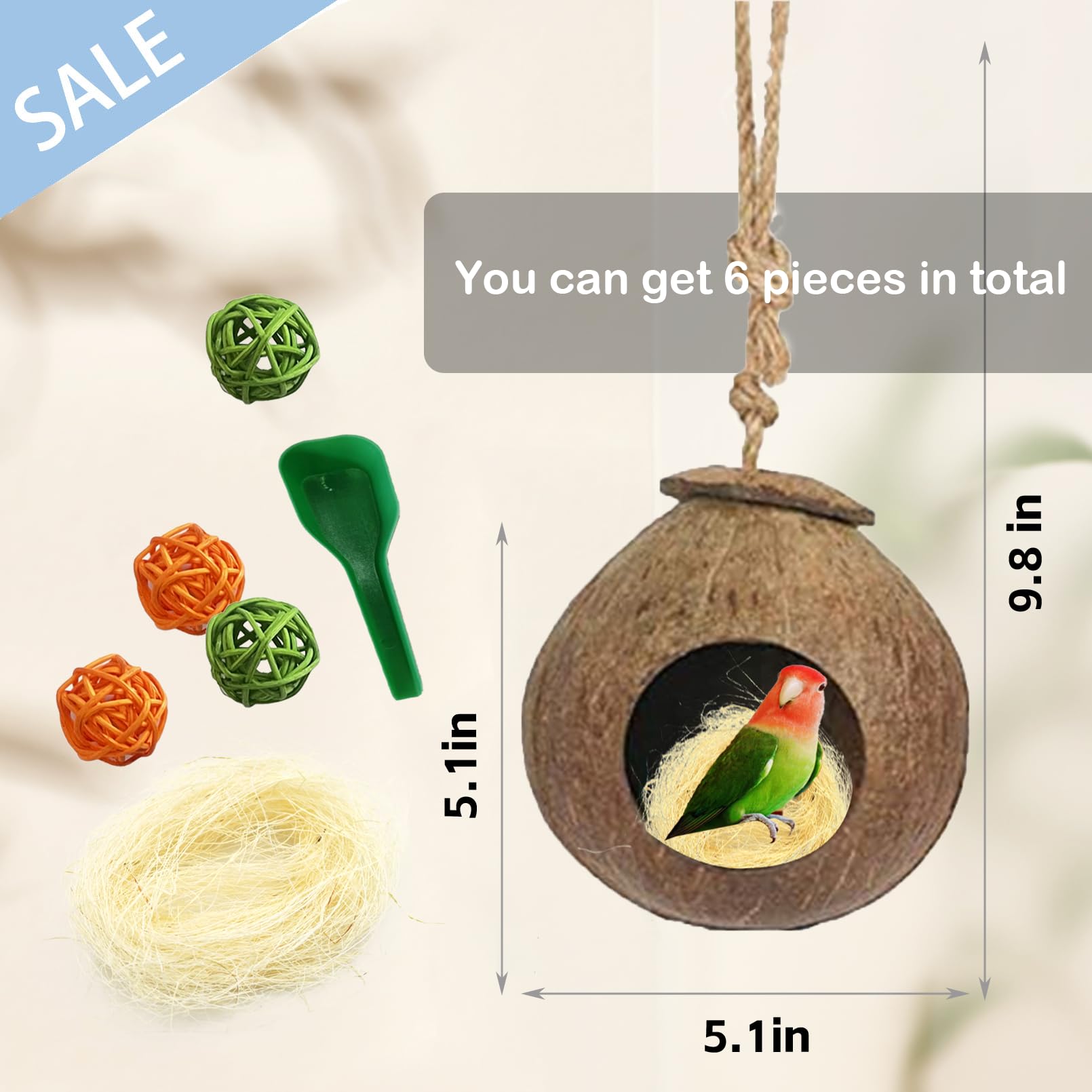 Kathson cuchara de alimentación para aves, práctica diaria