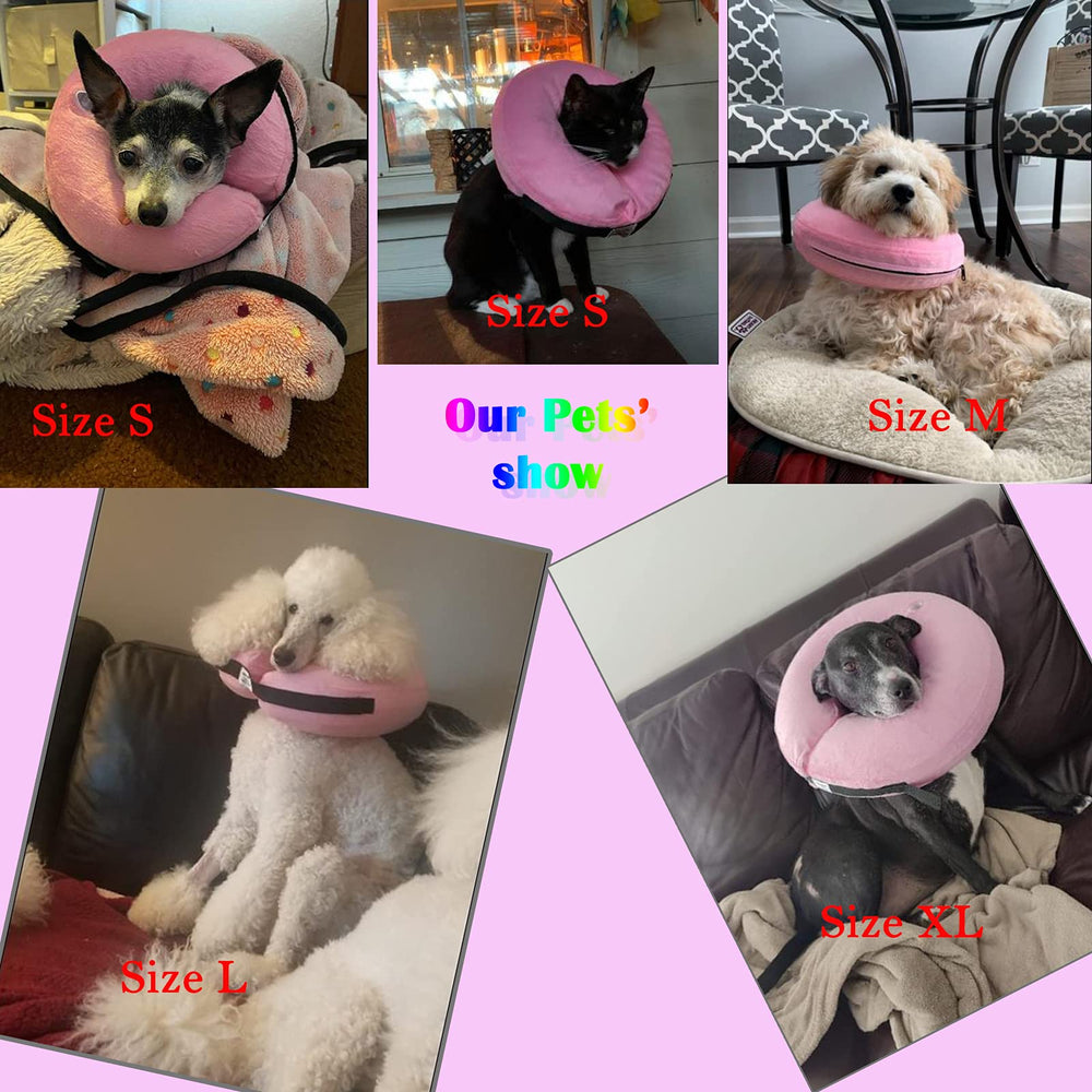 Katoggy collar inflable, fácil de limpiar gracias a la cremallera interna.