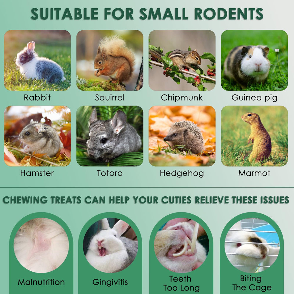 KATUMO formas divertidas para conejos y roedores: tentadoras para recompensas y snack diario.
