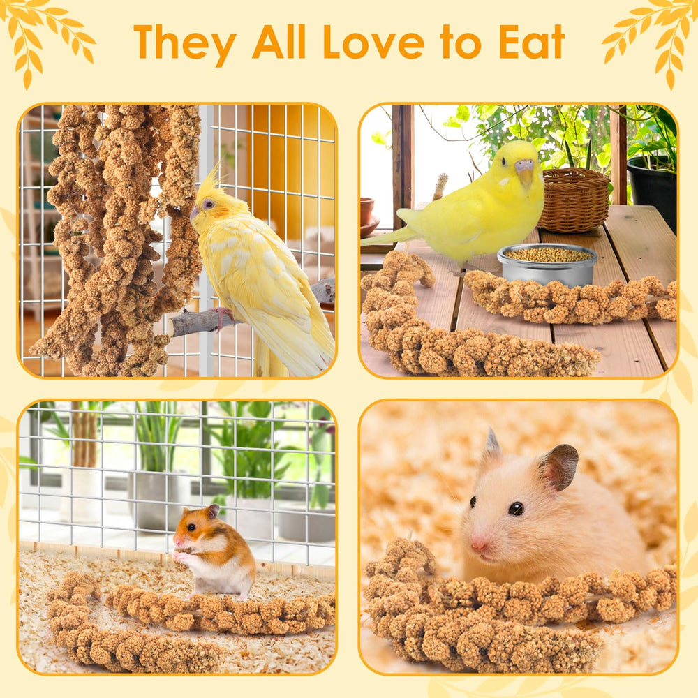 KATUMO mijo rociado para aves, snack diario para entrenamiento
