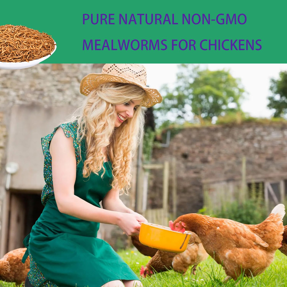 Gusanos Kayhen sin OGM, opción natural para dieta de aves.