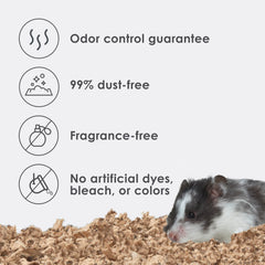 Kaytee Clean & Cozy: absorción de hasta 5x para mantener el nido seco
