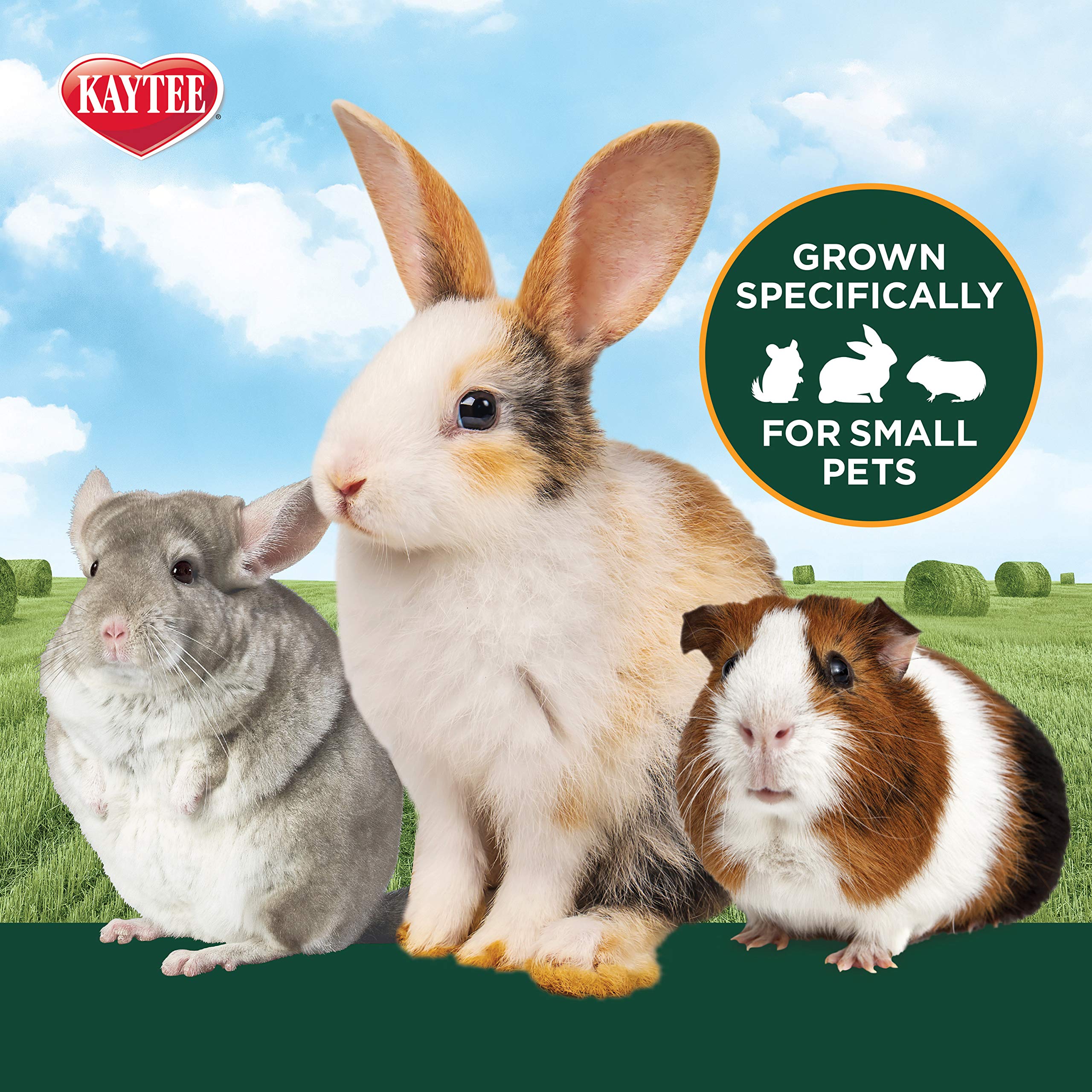 Kaytee Alfalfa Mini Bale presenta hojas y tallos equilibrados para nutrición balanceada.