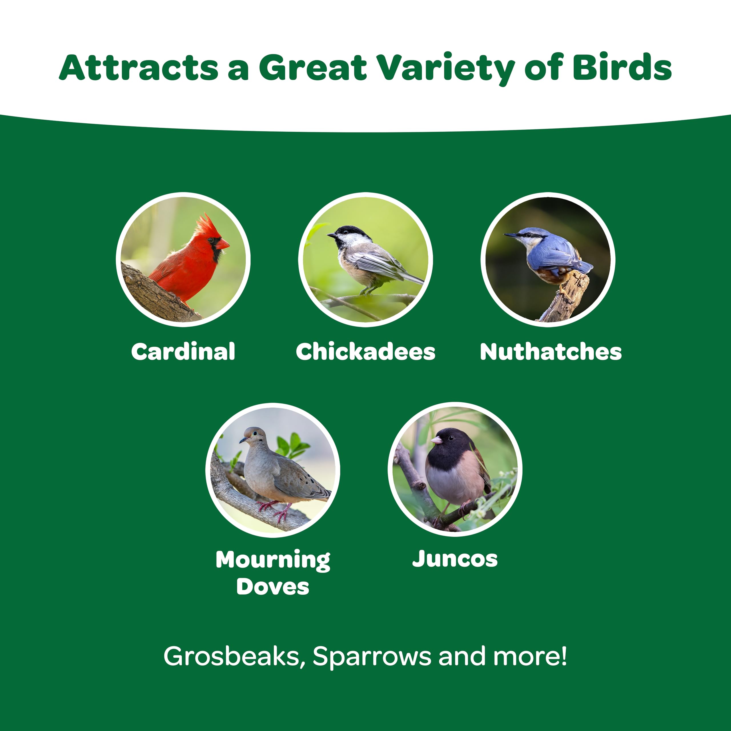 Kaytee Alimento para aves: mezcla variada que atrae varias especies.