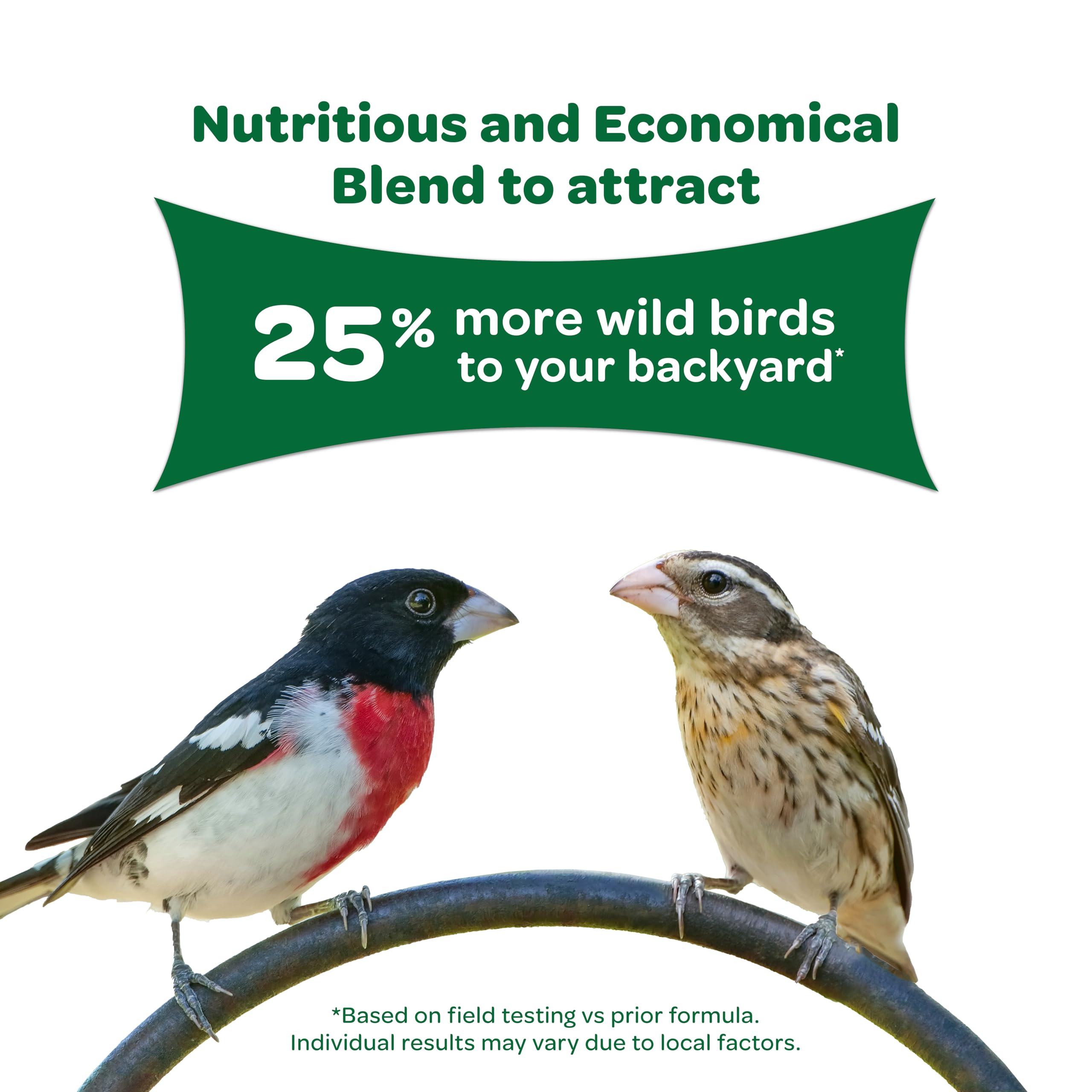 Kaytee Alimento para aves: vitaminas enriquecidas para un aporte nutritivo estable.