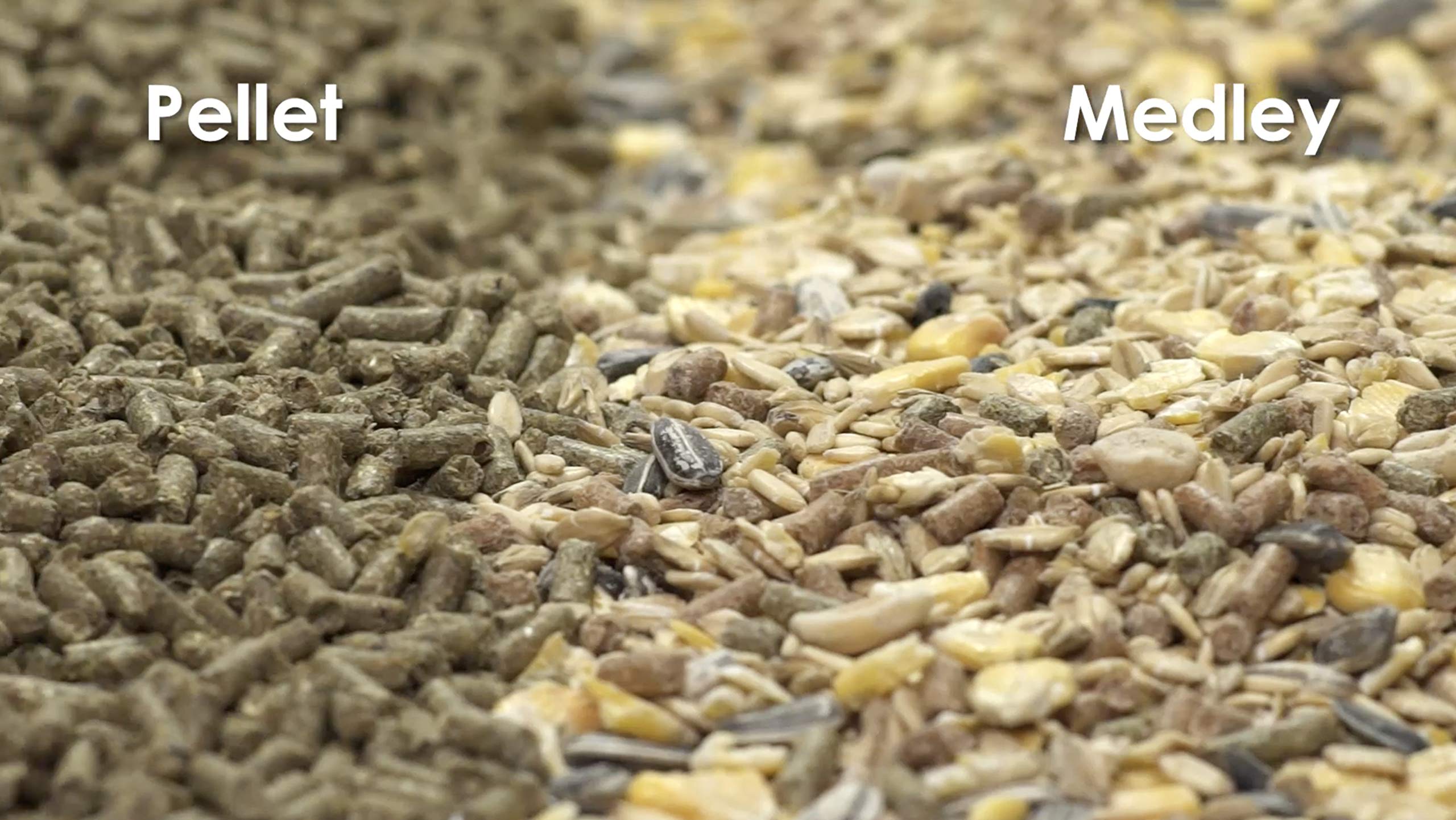 Kaytee Alimento Salvaje conejo: dieta completa en pellets.