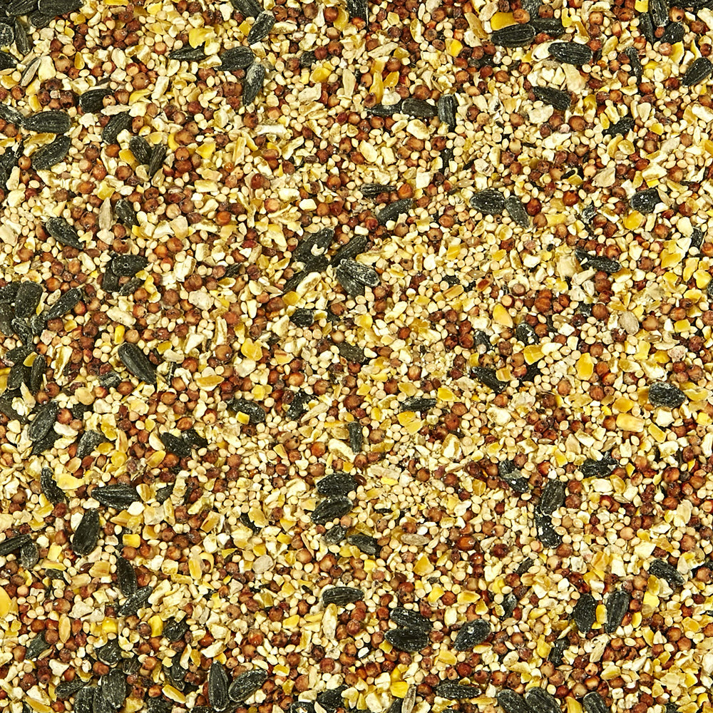 Kaytee All American mezcla de granos para aves, diversidad que atrae varias especies.