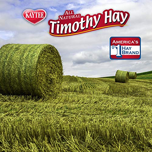 Kaytee aroma natural Timothy: aroma suave que agrada al olfato de pequeñas mascotas.