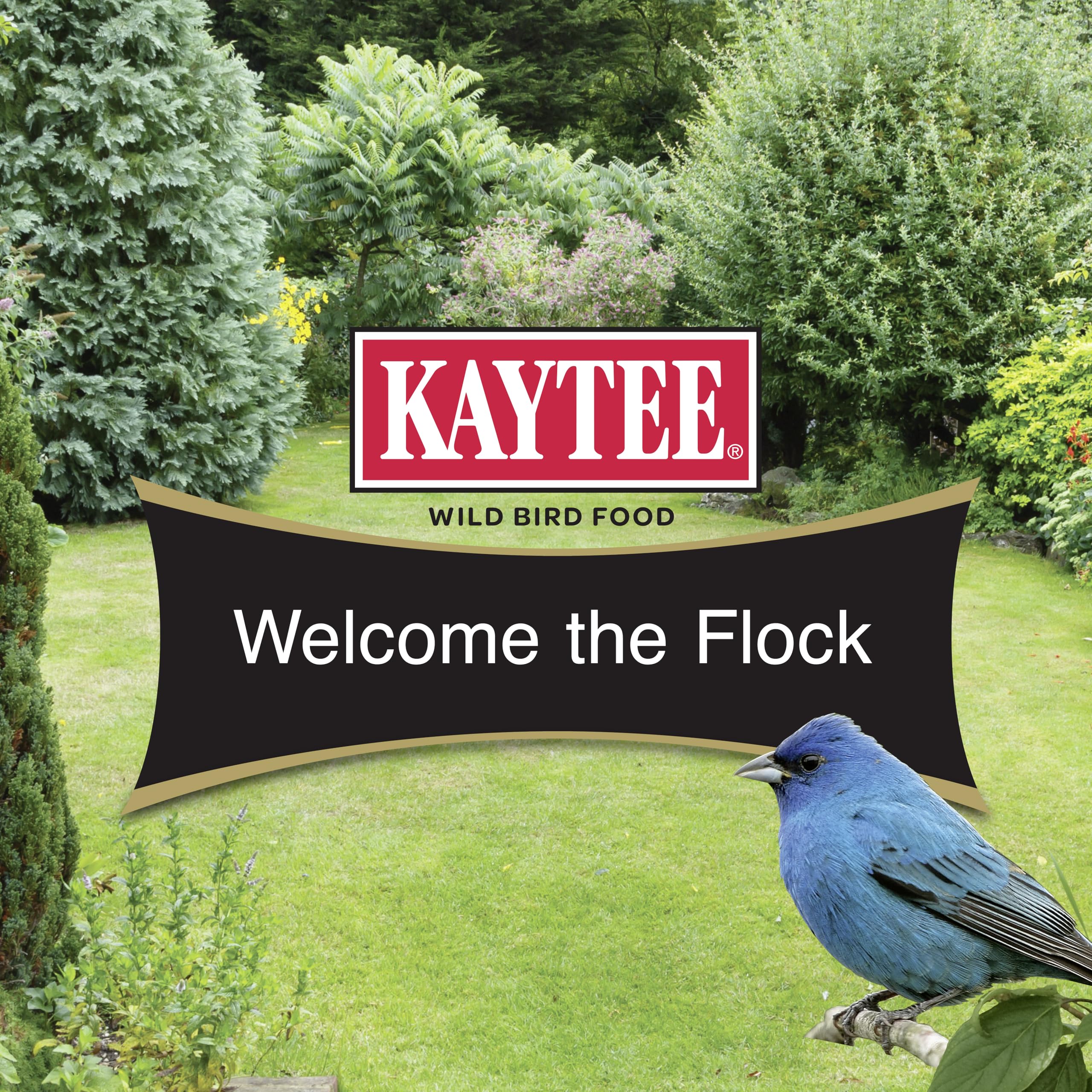 Kaytee aves silvestres calidad 2 libras, alimento de calidad para aves del vecindario