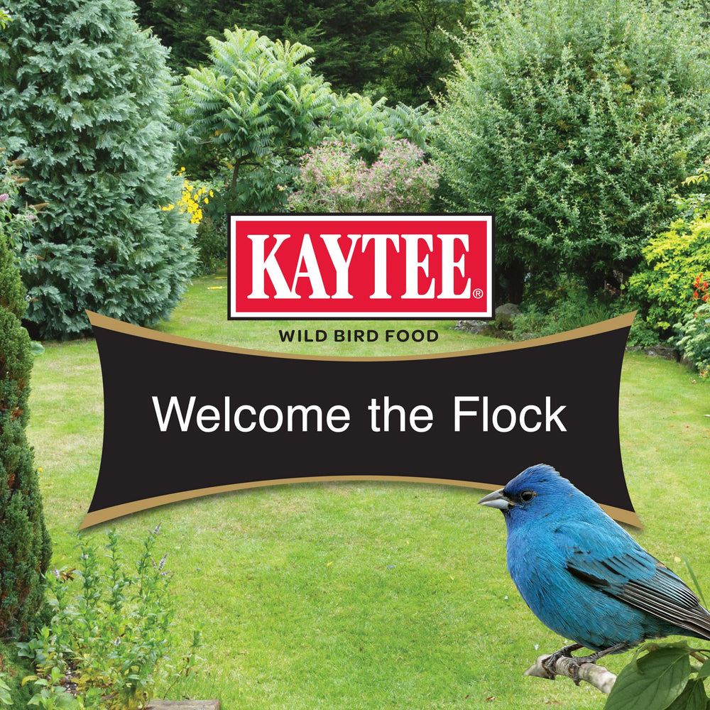 Kaytee aves silvestres calidad 2 libras, alimento de calidad para aves del vecindario