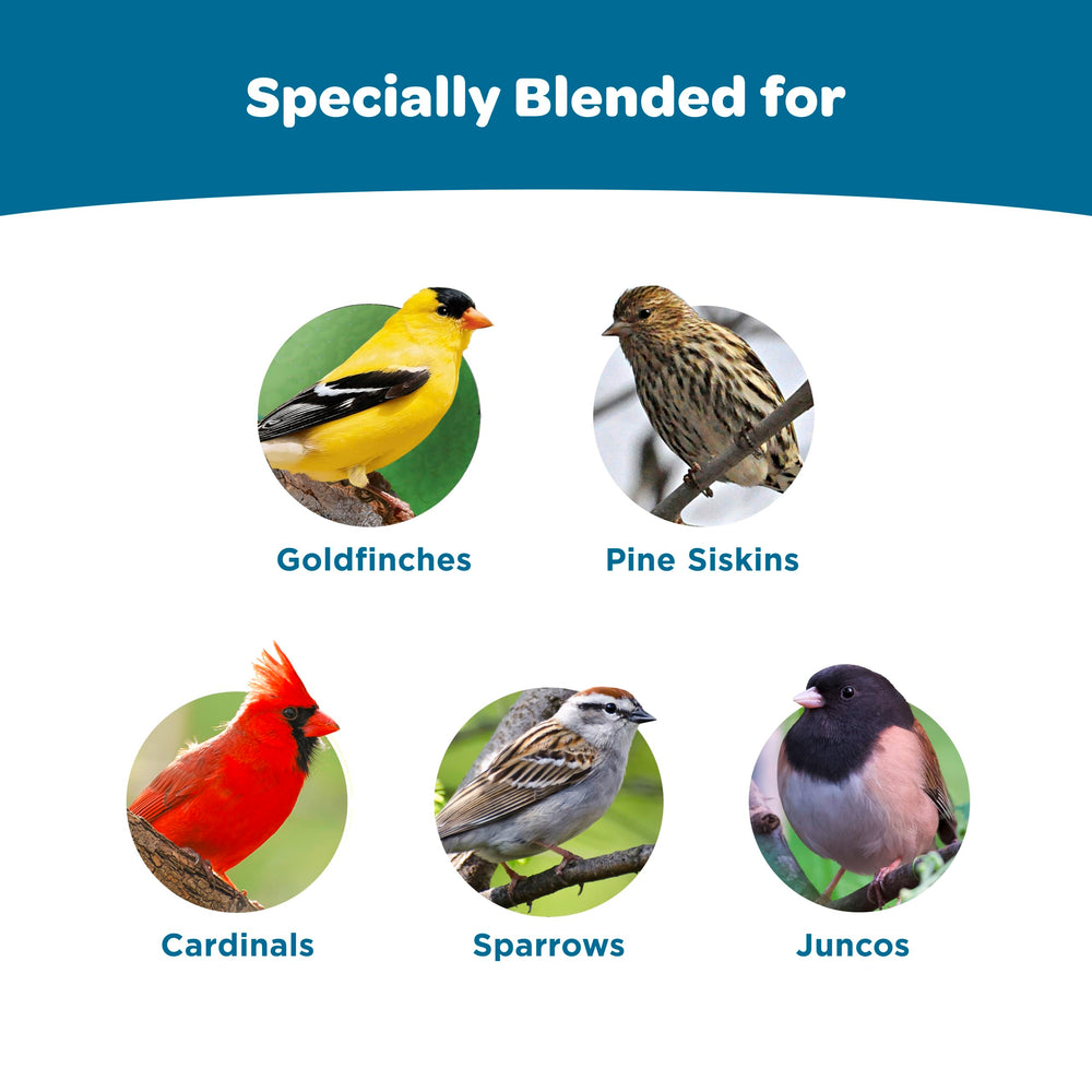 Kaytee cacahuates pelados 2 libras, aporte proteico para aves curiosas