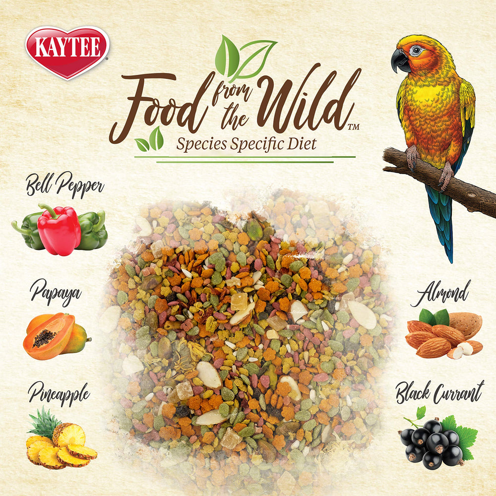 Kaytee Conure con grosellas negras, colorante para el forraje y juego