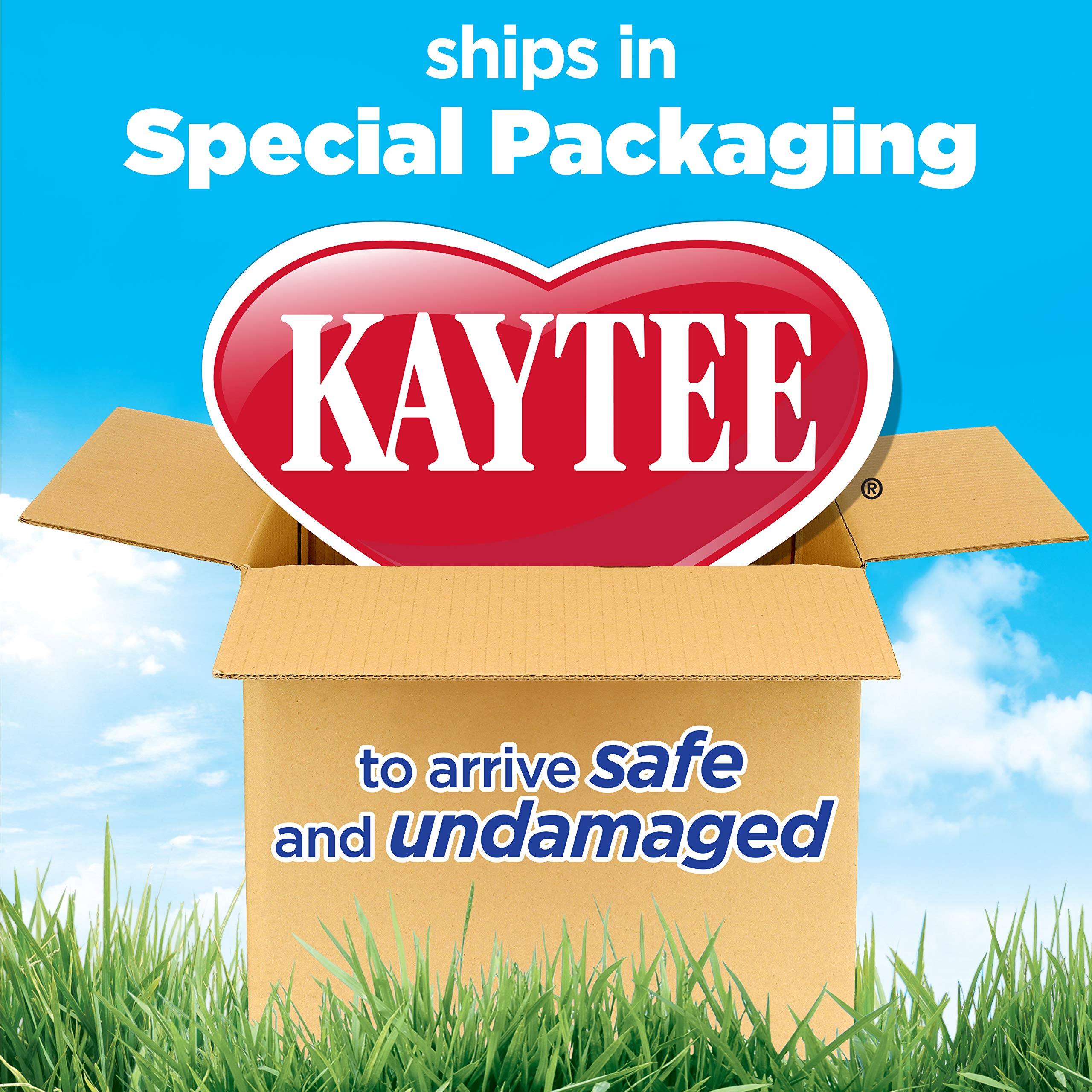 Kaytee Deluxe dos niveles habitat ruedas caster para mover la jaula con facilidad