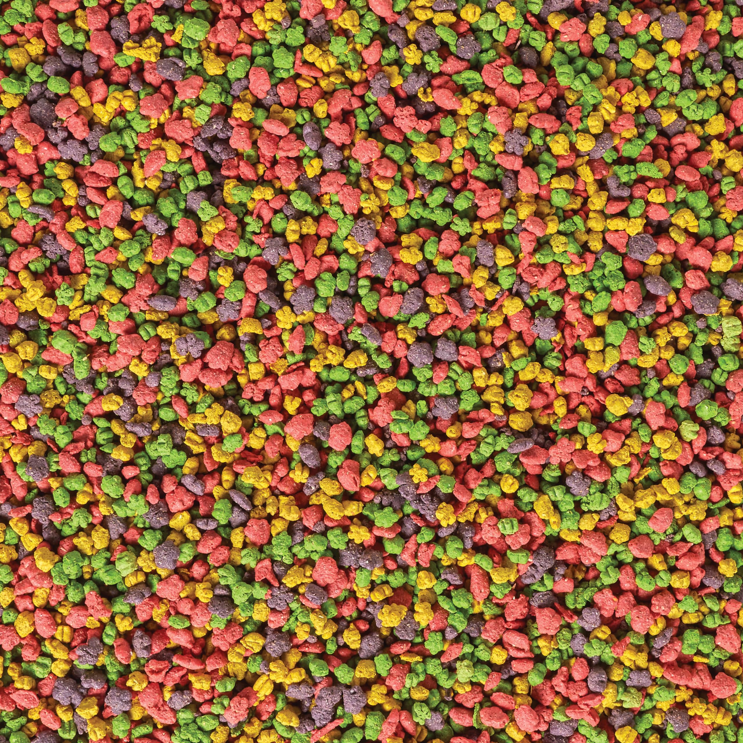 Kaytee Exact Rainbow: lorito comiendo granulos en tazón