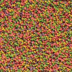 Kaytee Exact Rainbow: lorito comiendo granulos en tazón