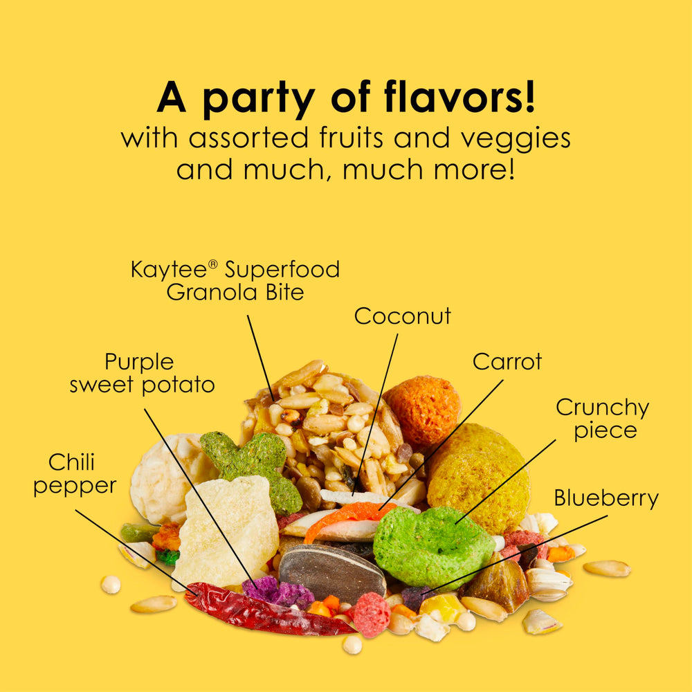 Kaytee Fiesta para Conuro: nutrientes para salud cerebral y concentración.