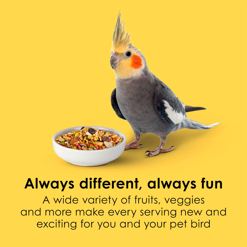 Kaytee Fiesta frutas y verduras para cockatiel con color y nutrientes