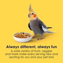 Kaytee Fiesta frutas y verduras para cockatiel con color y nutrientes