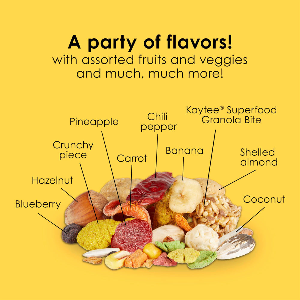 La dieta enriquecida Kaytee Fiesta favorece digestión, cerebro y corazón del guacamayo.